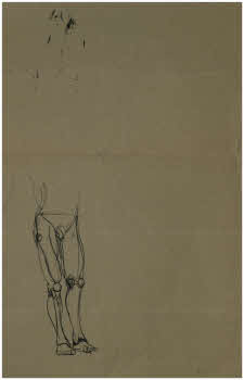 Visualizza l'immagine "FD D 1189 v."